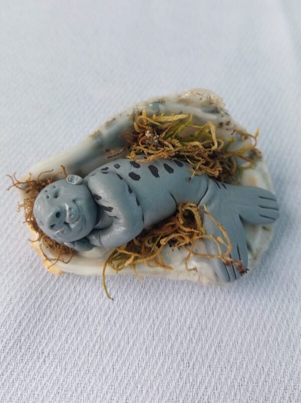 Selkies - Image 2